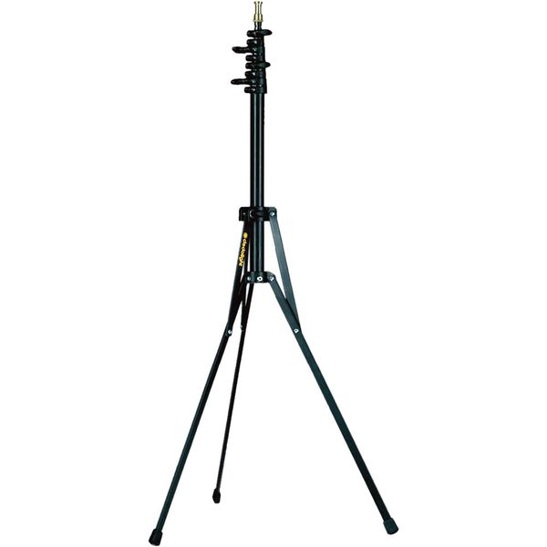 Datei:Felloni Abb 2.jpg